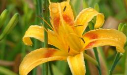 Bước sang tháng 2, tiền sẽ ùn ùn kéo đến, sự nghiệp thuận buồm xuôi gió, 3 chòm sao lớn nhất đời không thiếu tiền!