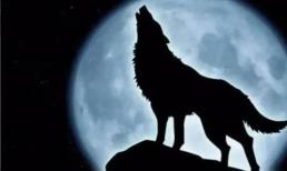 Trắc nghiệm tâm lý: Điều đầu tiên bạn nhìn thấy trong bức tranh là gì? Những điều tốt đẹp đã xảy ra với bạn gần đây?