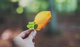 Khởi đầu của một gia đình sa sút không phải là thiếu tiền mà là không giữ được hai bí mật này