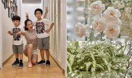 Khoảng ban công đầy hoa trong căn hộ của Đan Lê và chồng đạo diễn