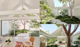 Thiết kế nhà gần gũi thiên nhiên dành cho những ai muốn trốn phố về quê hay nghỉ dưỡng tuổi già