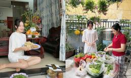 Hoa hậu Thanh Thủy lần đầu hé lộ cơ ngơi gia đình ở quê, khoảnh khắc đảm đang gây sốt