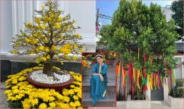 Hà Tăng khoe biệt thự trang hoàng ngập sắc hoa đón Tết