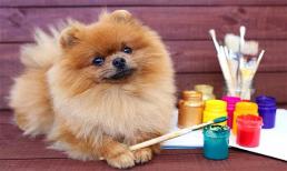 Tử vi tuần mới (23/1 - 29/1/2023):  top 3 con giáp cuộc sống khởi sắc, tiền bạc đầy ắp, phúc khí ngập tràn, sự nghiệp đại phú đại quý