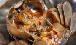 4 loại thực phẩm chứa nhiều 'ký sinh trùng' bạn nên biết, dù thích ăn cũng phải ngậm miệng