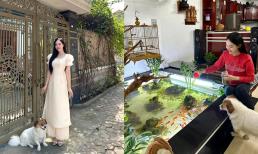 Hé lộ không gian nhà ngày Tết của Á hậu 1 Trịnh Thùy Linh