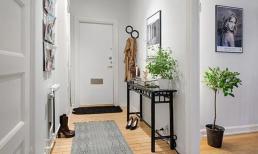  Nhất định phải đặt những linh vật này trong nhà, càng ở càng giàu có, vào ở mới biết được nhiều lợi lộc