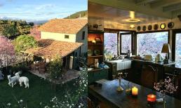 Chàng trai xây nhà nghỉ dưỡng ở Đà Lạt, khung cảnh như một bức tranh