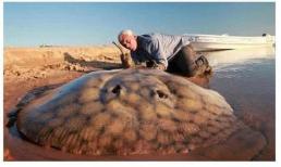 Nếu tất cả cát trong sa mạc bị khoét rỗng, thứ gì sẽ xuất hiện bên dưới? Sau khi đọc, tôi đã nâng cao kiến ​​​​thức của mình!