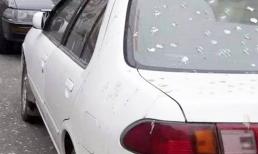 Xe màu trắng khó bảo dưỡng, dễ ngả vàng xấu xí? Đó là do bạn chưa biết cách bảo trì thôi! Chỉ cần chú ý đến những điều này là đủ