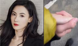 Trương Bá Chi bị nghi đang hẹn hò với nam MC nổi tiếng, cả hai còn công khai nắm tay nhau đi mua sắm?