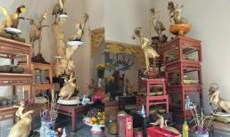 Độc đáo 'phi đội gà bay' trên mâm cúng ở Hà Tĩnh