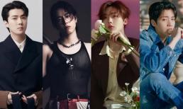 Những em út của các nhóm nhạc nam nổi tiếng thế hệ thứ 3 cao trên 1m79, khiến ai cũng phải trầm trồ