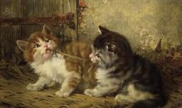 Cuối tuần này (4/2 - 5/2/2023): top 3 con giáp số đỏ như son, tài lộc dồi dào, cuộc sống sung túc đủ đầy