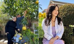 Hồng Đào thuê vợ chồng Hồng Vân đến chăm vườn nhưng lại trả công rẻ 'bèo' 