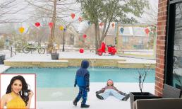 Khu vườn nhà Hồng Ngọc ở Mỹ đẹp mê hoặc khi vào mùa đông 