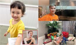 Sao Việt 4/2: Pha Lê 'tức phát điên' vì con gái bệnh tật; Đàm Vĩnh Hưng hé lộ không gian nhà mới tậu tại Hà Nội?