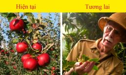 7 loại thực phẩm chúng ta không bao giờ có thể ăn lại trong tương lai