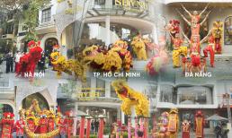 Nửa thập kỷ 'khai xuân khởi sắc' 3 miền Bắc - Trung - Nam của Shynh Premium