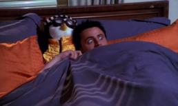 Theo các nghiên cứu khoa học, ngủ với người ngáy có thể có hại cho sức khỏe của bạn