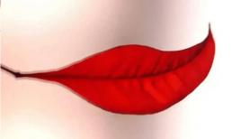 Trắc nghiệm tâm lý: Thoạt nhìn bạn đã nhìn thấy gì trong bức tranh và điều tốt lành nào sẽ đến với bạn trong tháng tới?