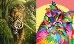 Tử vi 12 con giáp thứ 7 ngày 11/2/2023: Tuổi Dần sự nghiệp dễ dàng, Mão có điềm báo đụng độ tiểu nhân