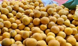 Bí quyết bảo quản bưởi sau Tết, để 4-6 tháng vẫn tươi ngon, không lo thối hỏng 