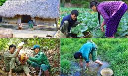 Bỏ phố về bìa rừng sống cùng ông bà, chàng trai học làm nông, lên rừng lấy mật ong, kiếm măng