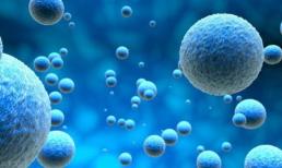 Khám phá khoa học: Các tế bào miễn dịch có thể đảo ngược quá trình lão hóa và phục hồi sức khỏe trẻ trung của bạn!