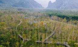 Ngắm mùa thu Châu Âu đẹp mê mẩn ở Phong Nha - Quảng Bình vào tháng 2