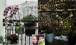 Bà xã nghệ sĩ Công Lý decor góc ban công cực đẹp, được khen là vợ đảm khi trổ tài cắm hoa