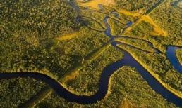 Rừng mưa nhiệt đới nhìn như thiên đường xanh tươi nhưng thực chất lại là vùng cấm địa của con người, nó đáng sợ đến mức nào?