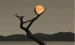 Trắc nghiệm tâm lý: Bạn nhìn thấy gì đầu tiên, quý nhân mà bạn đụng phải là ai? Ai sẽ giúp bạn?