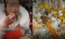 Thấy khách phàn nàn cơm rang có vật lạ nghi phân chuột, chủ tiệm ăn luôn dị vật để chứng minh