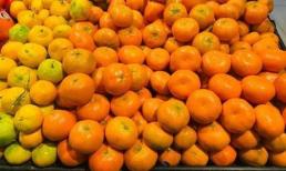 Mua cam học thuộc 5 mẹo nhỏ này, dù giống nào cũng ngọt và nhiều nước