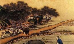 “Đàn ông có lông đáng giá ngàn vàng, đàn bà không có lông thì ba đời phú quý”, vì sao người xưa lại nói như vậy?