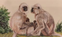 Cuối tuần này (18/2 - 19/2): top 3 con giáp đón vận may trời ban, bất kể làm gì cũng hanh thông, cuộc sống tràn đầy hứng khởi