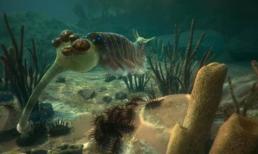 Đâu là nguyên nhân khiến 130.000 sinh vật biến mất lại 'hồi sinh' trở lại?