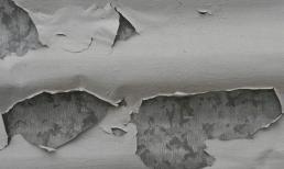 Bức tường bong tróc và ẩm mốc không cần tốn nhiều công sức! Học 'phương pháp xử lý nấm mốc và chống ẩm', vấn đề sẽ được giải quyết