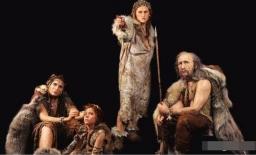 Tại sao con người tiến hóa lông hậu môn? Hậu quả của việc cạo bỏ nó là gì?