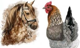 Tử vi 12 con giáp thứ 3 ngày 21/2/2023: Tuổi Ngọ làm gì cũng suôn sẻ, Dậu cần đề phòng tiểu nhân