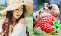 Con giáp nữ hạnh phúc nhất sau khi kết hôn, vợ chồng yêu thương ngọt ngào, gia đình hòa thuận khỏe mạnh, con cái thành đạt