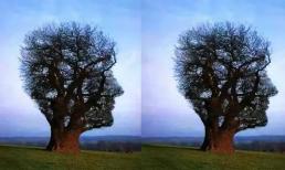 Trắc nghiệm tâm lý: Điều đầu tiên bạn nhìn thấy là gì? Sự hiểu biết của bạn trong cách cư xử với mọi người có cao không?