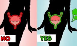 Mẹo giúp nhịn đi vệ sinh khi đang họp, du lịch hay ở nơi không có nhà vệ sinh 