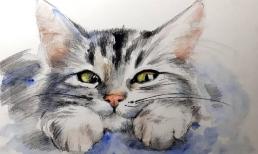 Tử vi tuần mới (27/2 - 5/3): top 3 con giáp vận trình rực sáng, tài lộc bùng nổ, cuộc sống lên hương như vũ bão