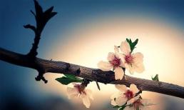 Trong giao tiếp, có bốn hành vi rất 'rẻ tiền' nên tránh nhưng một số người không nhận ra điều đó 