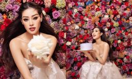 Hoa hậu Khánh Vân tung bộ ảnh đỉnh cao mừng sinh nhật: Xinh xuất sắc giữa rừng hoa 