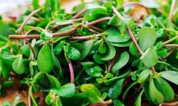 Đã tìm thấy 'chiếc ô' tuyến giáp, mỗi ngày ăn một chút, nốt sần không dám đến