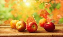 Trắc nghiệm tâm lý: chọn một bức ảnh chạm đến trái tim của bạn và xem bạn là kiểu người nào trong mắt người khác