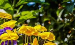 Người sinh vào mấy ngày âm lịch này may mắn được sinh ra trong 'số vàng', đến tuổi trung niên sẽ gặp nhiều may mắn và phát tài